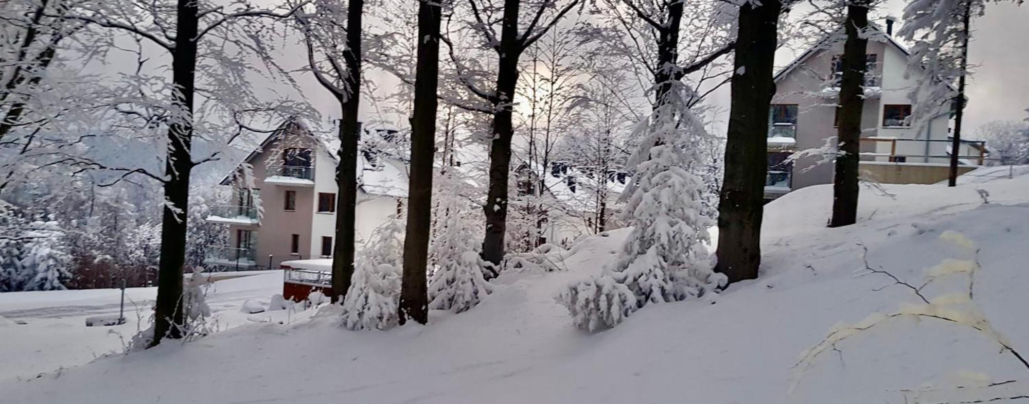 Loft Mountain Szklarska Poreba